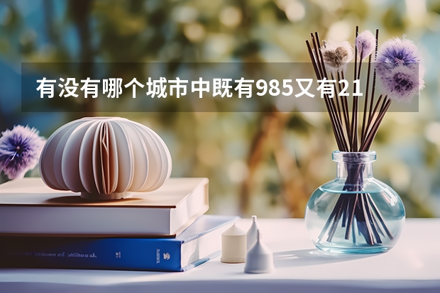 有没有哪个城市中既有985又有211，前提是两个学校离得很近很近，几分钟