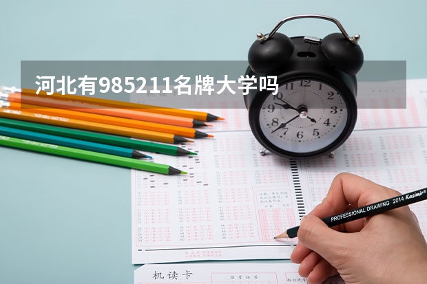 河北有985211名牌大学吗