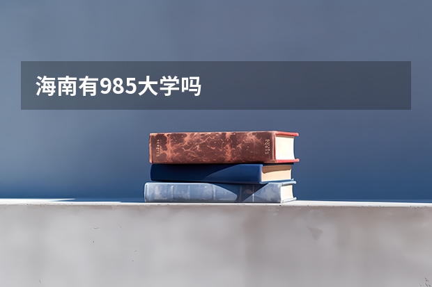 海南有985大学吗