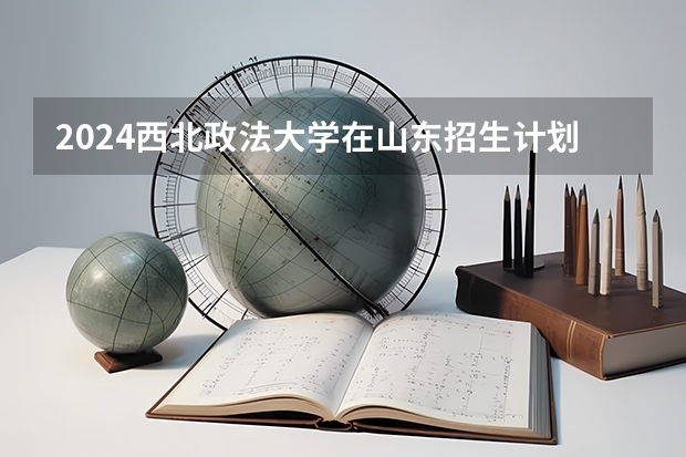 2024西北政法大学在山东招生计划人数一览表