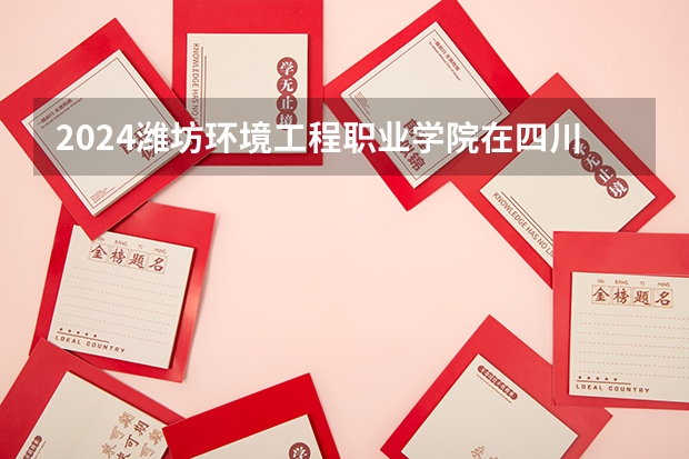 2024潍坊环境工程职业学院在四川招生计划一览表