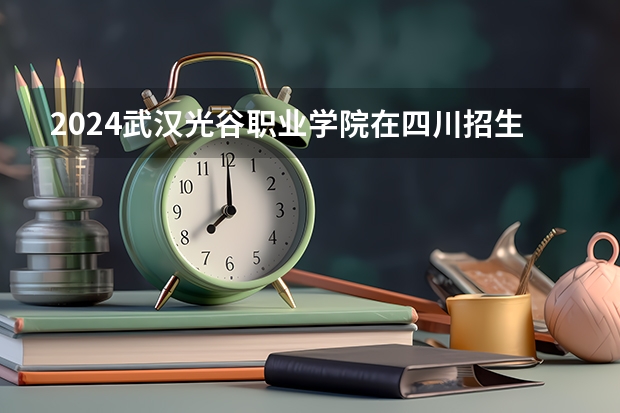 2024武汉光谷职业学院在四川招生计划一览表