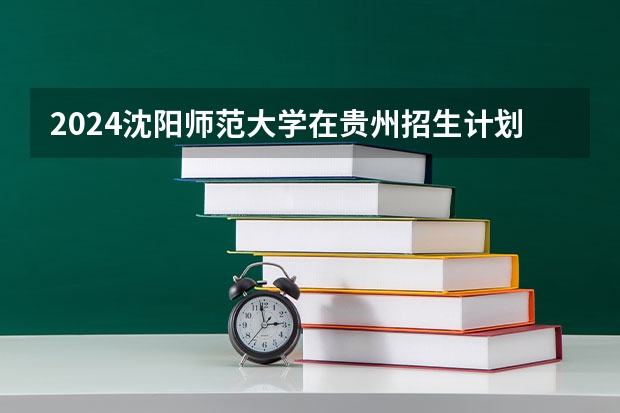 2024沈阳师范大学在贵州招生计划表