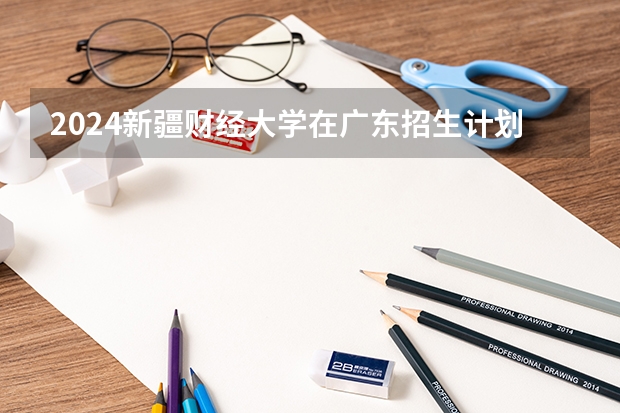 2024新疆财经大学在广东招生计划表