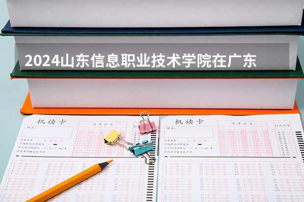 2024山东信息职业技术学院在广东招生计划表