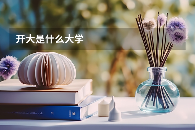 开大是什么大学