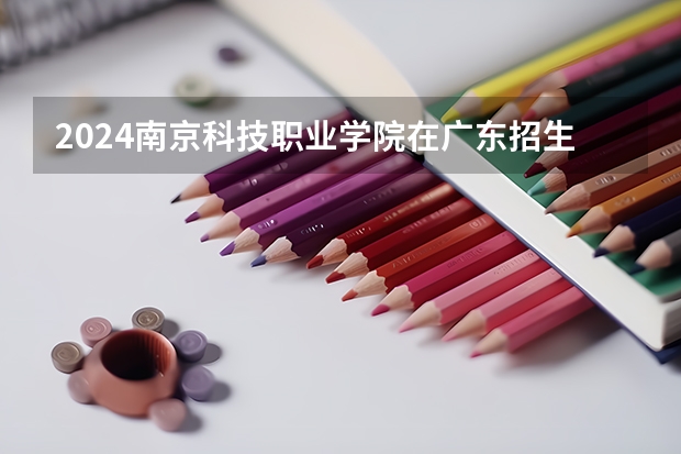 2024南京科技职业学院在广东招生计划表