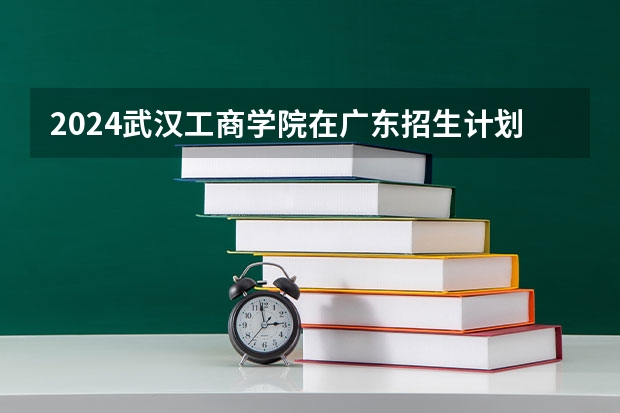 2024武汉工商学院在广东招生计划表
