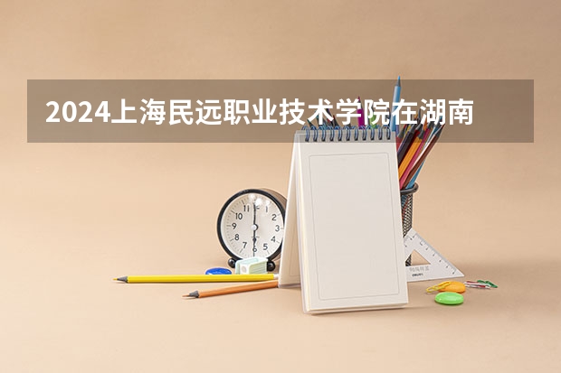 2024上海民远职业技术学院在湖南招生计划表