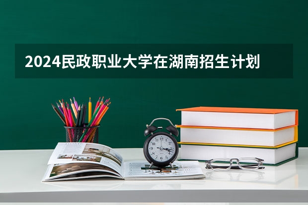 2024民政职业大学在湖南招生计划表