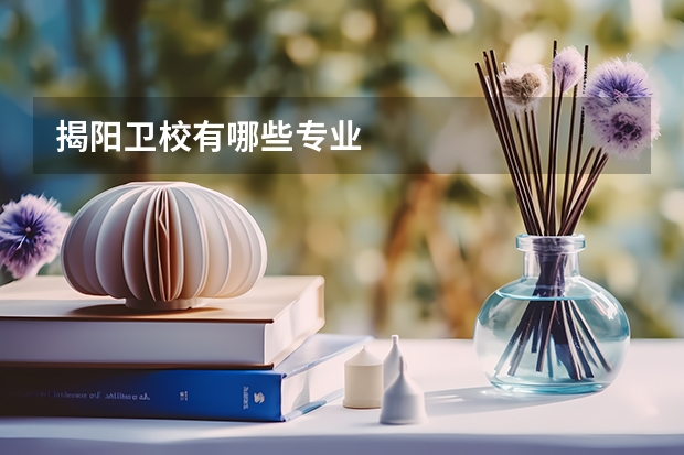 揭阳卫校有哪些专业