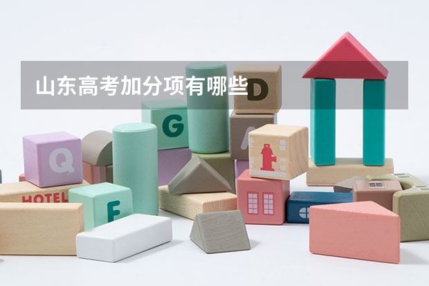 山东高考加分项有哪些