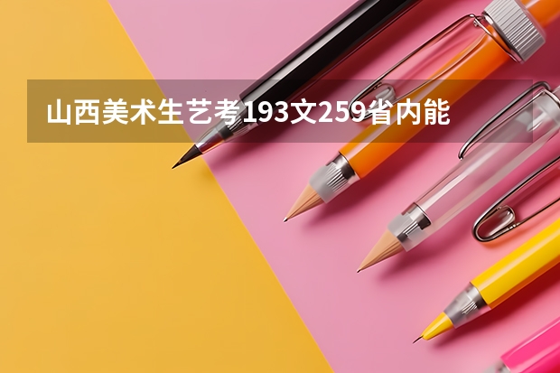 山西美术生艺考193文259省内能上什么学校?