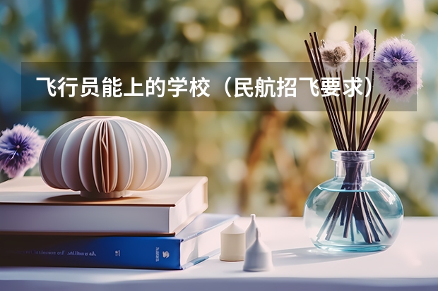 飞行员能上的学校(民航招飞要求)