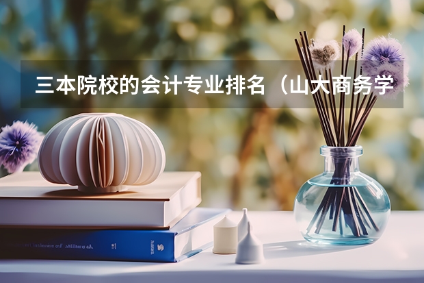 三本院校的会计专业排名(山大商务学院)