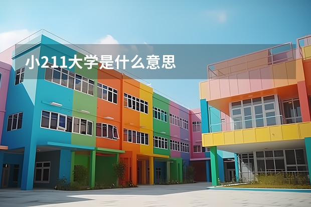 小211大学是什么意思