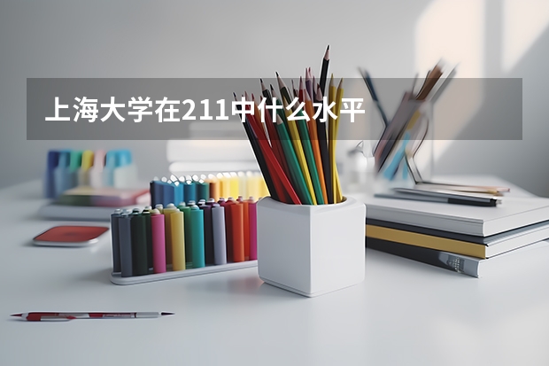 上海大学在211中什么水平