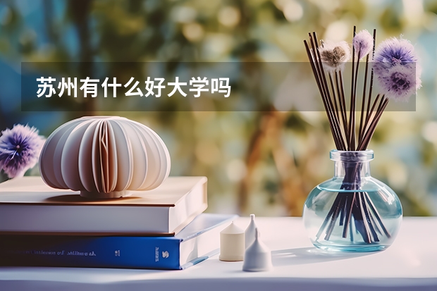 苏州有什么好大学吗