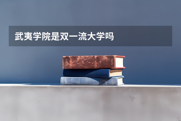 武夷学院是双一流大学吗