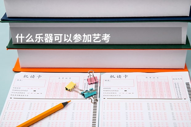 什么乐器可以参加艺考